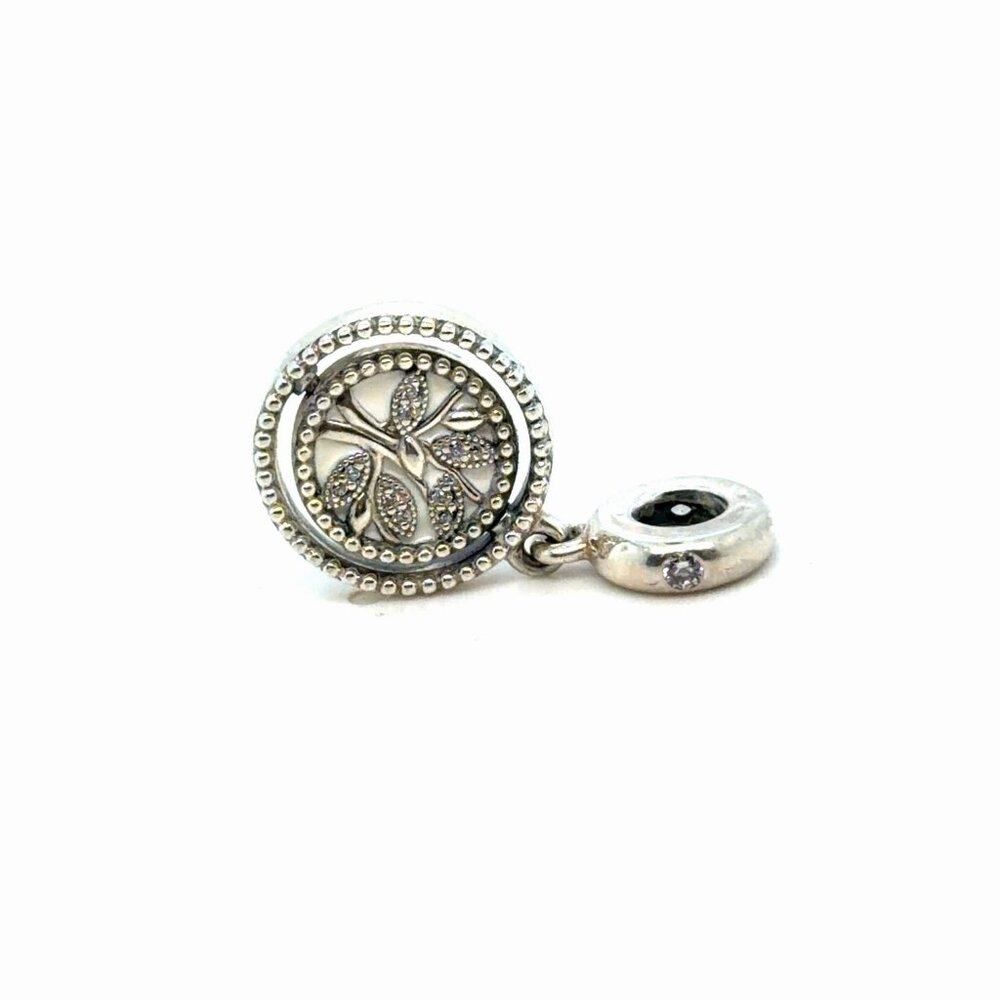 Pandoraā Family Is A Circle Of Love Charm